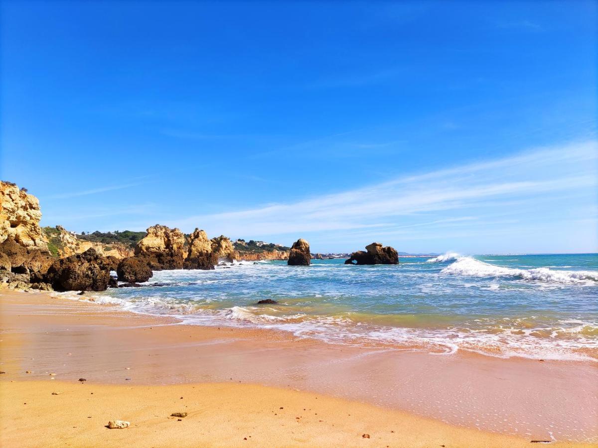 Beach Condo With Atlantic Ocean View By Becherish Olhos de Αgua Εξωτερικό φωτογραφία